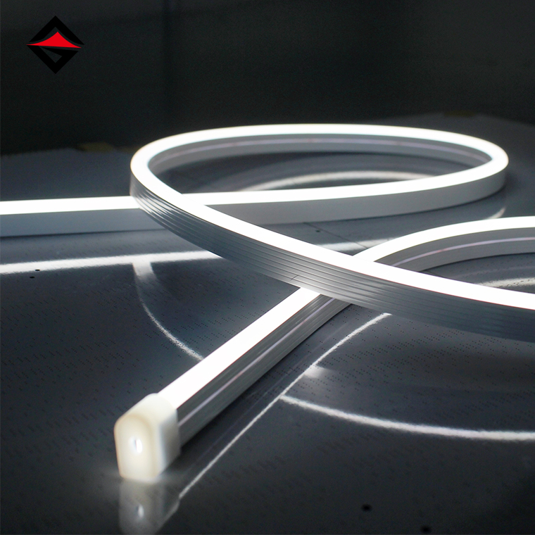 Explorarent in perpetuum leporem a VII 14mm neon denudat